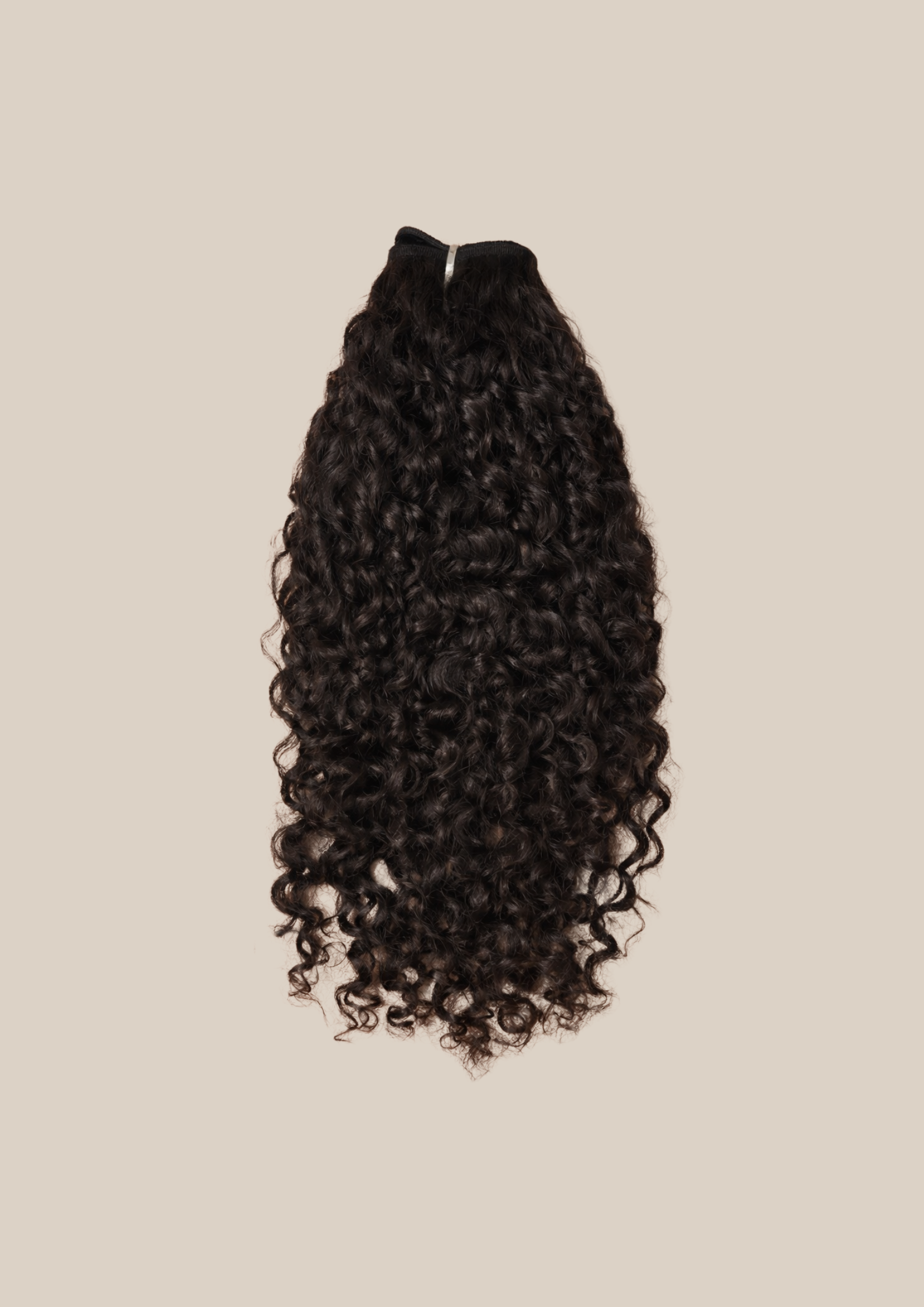 Burmese Curly Wave